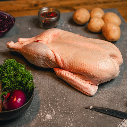 Berberiand Canard Gul - 3,0 - 3,5 kg Mortensaften KUN levering den 8/11-25 og afhentning 7-8/11